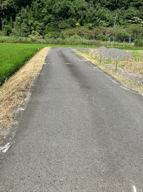 西側道路