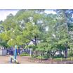 公園