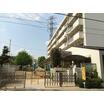 幼稚園、保育園