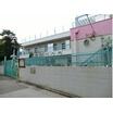 幼稚園、保育園