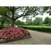 公園