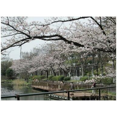 もえぎ野公園