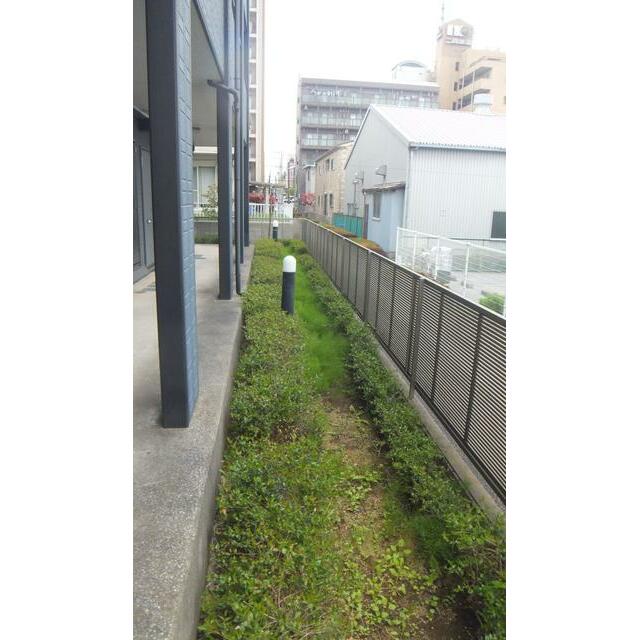植栽