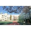 小学校