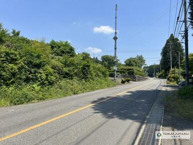 前面道路、別角度からの写真です。