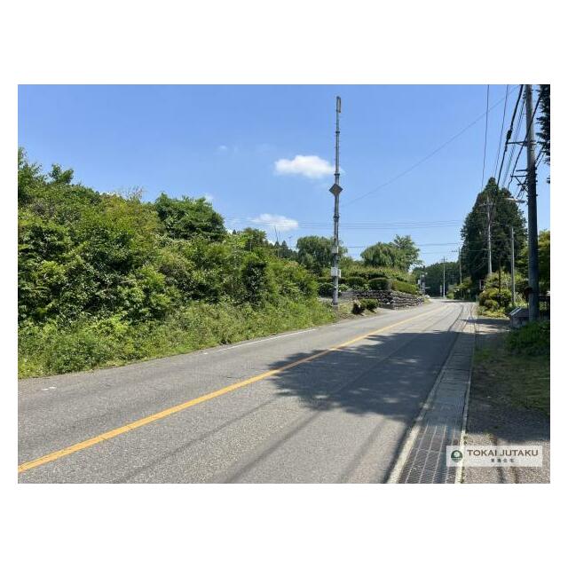 前面道路、別角度からの写真です。