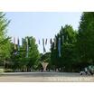 公園