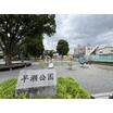 公園