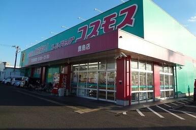 コスモス鹿島店