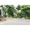 公園