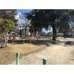 公園