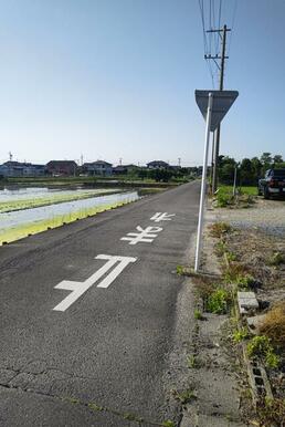 西側道路