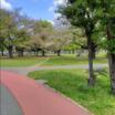 公園