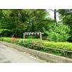 公園