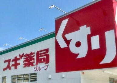 スギドラッグ 駿河広野店