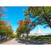公園