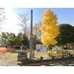 公園