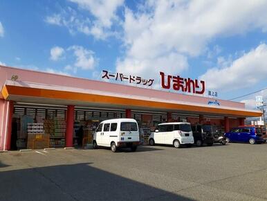 ひまわり道上店