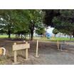 公園