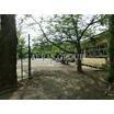 幼稚園、保育園