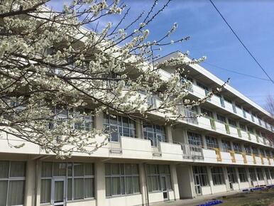 古城小学校