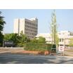 大学