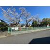 公園