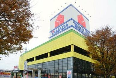 ヤマダ電機テックランド相模原店