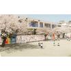 幼稚園、保育園