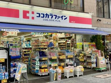 ココカラファイン大岡山店