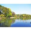 公園