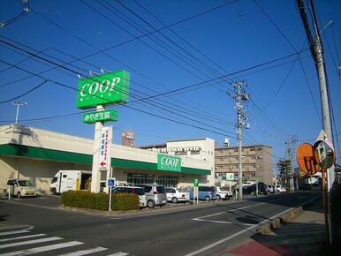 ＣＯＯＰ　ＭＩＹＡＧＩ南小泉店