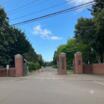 大学