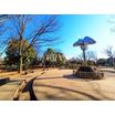 公園