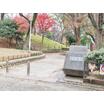 公園