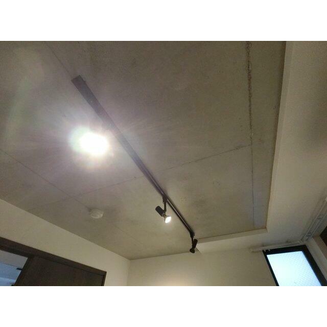 スポットライト☆