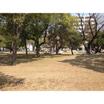 公園
