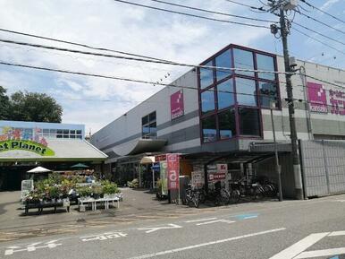 ホーム　センターカンセキ　駅東店