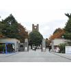 大学