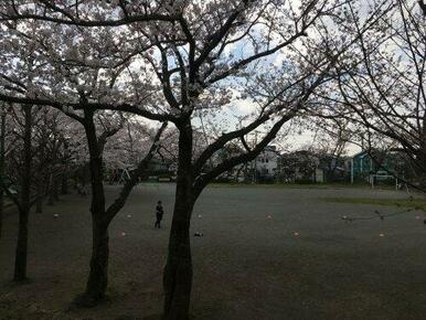 桜が丘1丁目公園