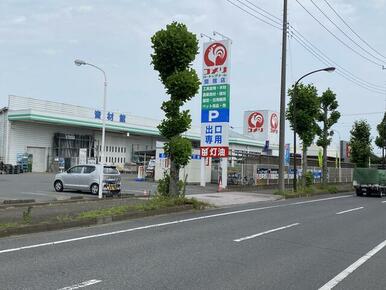 コメリハード＆グリーン関宿店