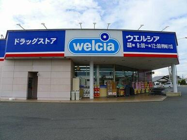 ウエルシア伊勢崎八寸店
