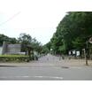 公園