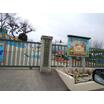 幼稚園、保育園