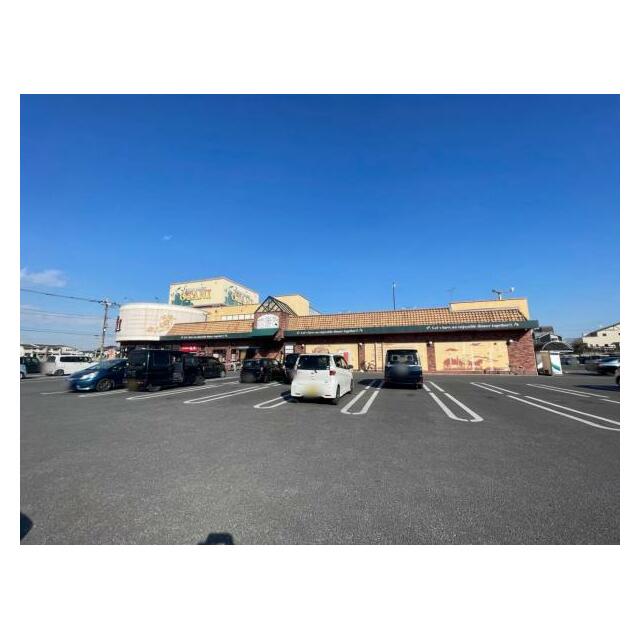 フードオアシスOTANI鶴田店　1164ｍ/徒歩15分、車3分