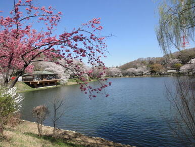 三ッ池公園