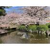 公園