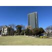 公園