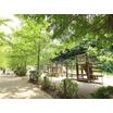 公園