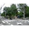 公園